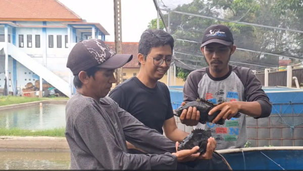 Budidaya Ikan Kerapu Kolbun Salim (Budidaya Ikan Kerapu Kolam Bundar Menggunakan Ras Dengan Air Laut Buatan Sebagai Media)